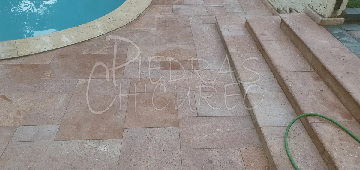 Detalle palmeta rozada de Pelequen — foto B