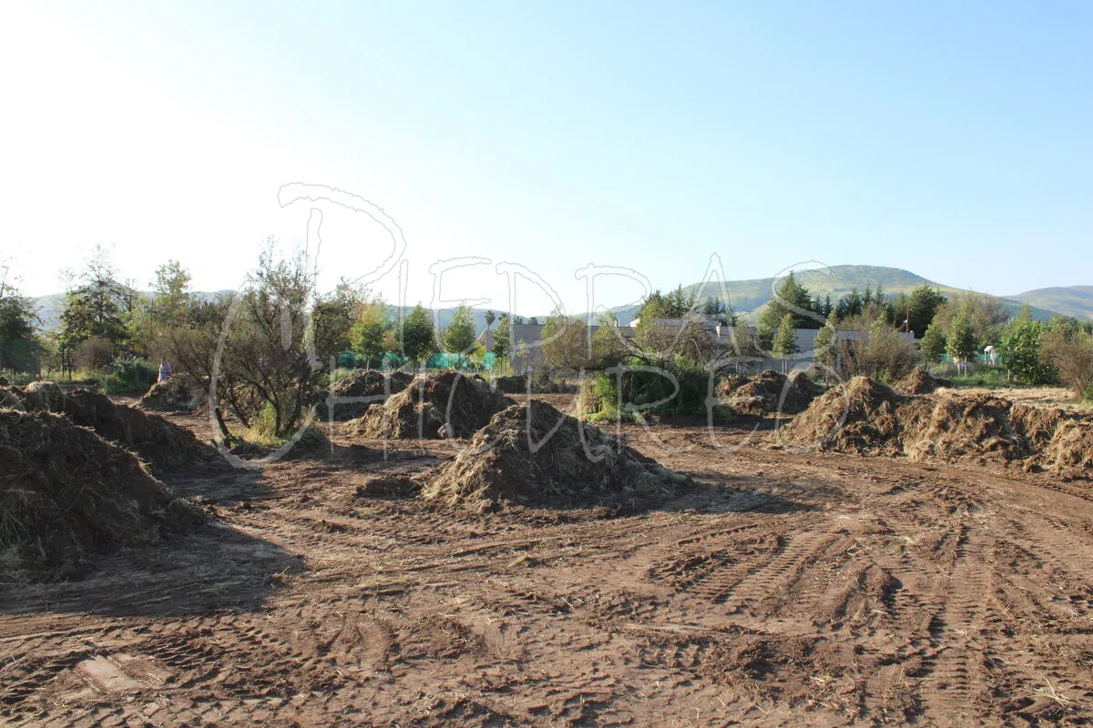 Servicios — foto 15